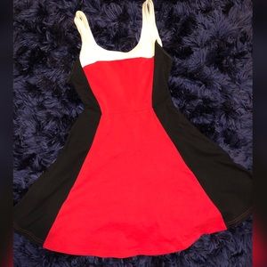 EXPRESS Skater Dress